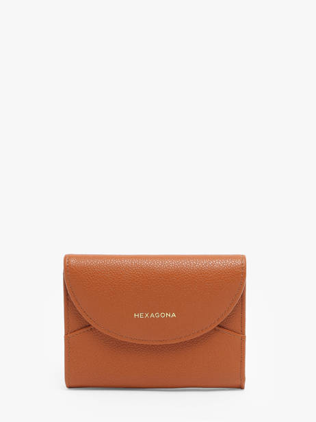 Wallet Hexagona Brown mary 568393