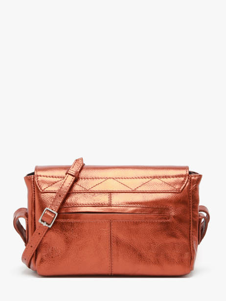 Small Leather Diane Ginger Crossbody Bag Paul marius Orange ginger DIANSGIN other view 3