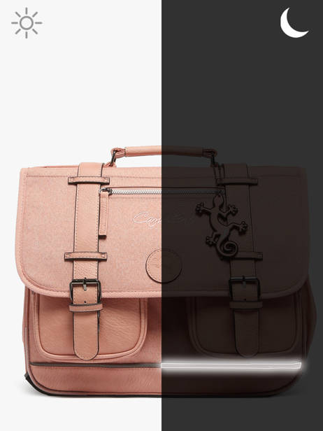 Satchel 2 Compartments Cameleon Pink vintage color CA38 other view 8