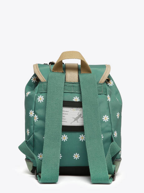 1 Compartment Backpack Cameleon Green vintage fantasy SD25 other view 4