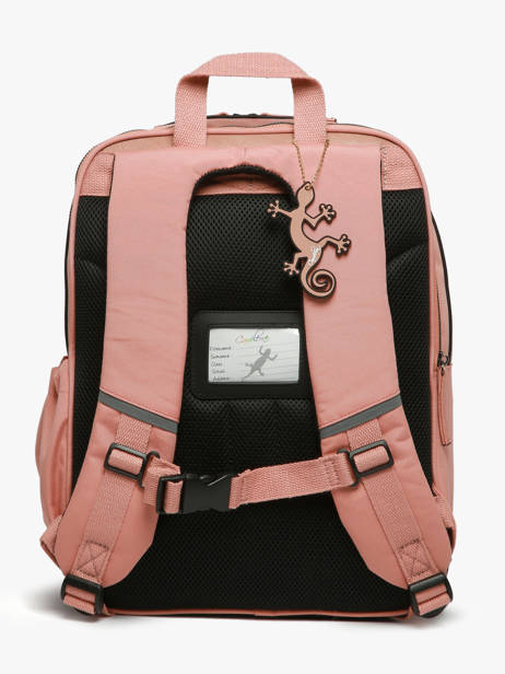 2-compartment Backpack Cameleon Pink vintage fantasy SO40 other view 4