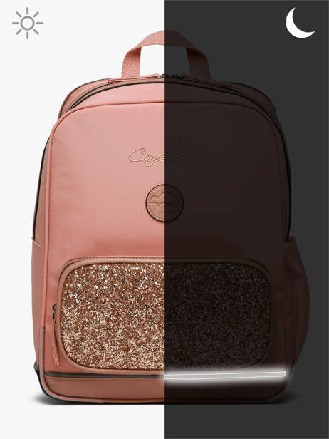 2-compartment Backpack Cameleon Pink vintage fantasy SO40 other view 8