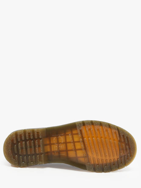 Boots 1460 Pascal In Leather Dr martens Brown men 40967200 other view 4