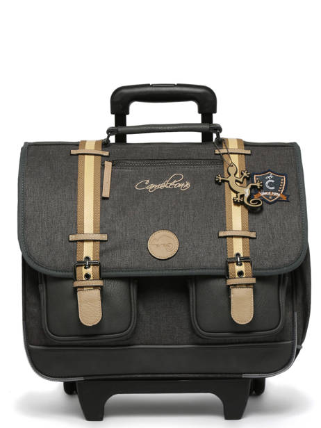 3-compartment Wheeled Satchel Cameleon Gray vintage urban CR41 other view 8
