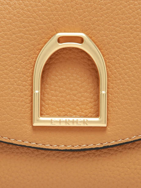 Shoulder Bag Shadow Leather Etrier Brown shadow ESHA163S other view 6