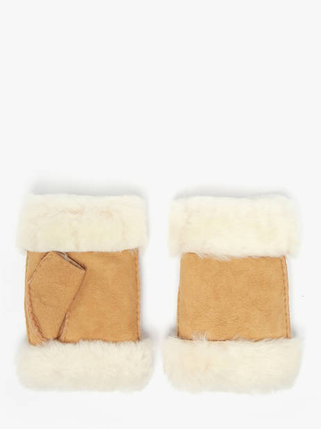 Gloves Isotoner Brown women gloves 68663