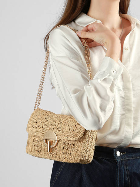Raffia Moyen Moon Crossbody Bag Vanessa bruno Beige moon raphia 91V40533 other view 1