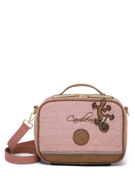 Sac Gouter Cameleon Marron vintage fantasy BL24 vue secondaire 6