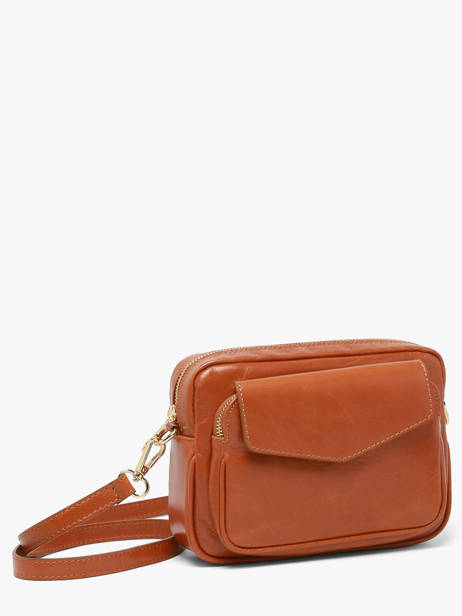 Sac Bandoulière Shiny Sauvage Cuir Milano Marron shiny sauvage SS25067 vue secondaire 1