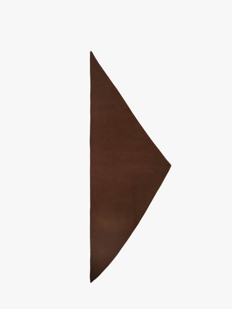 Echarpe Triangulaire Cary Pieces Marron cary 17166816