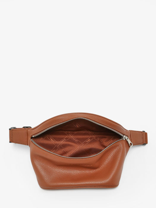Longchamp Le foulonné Pouch bag Brown