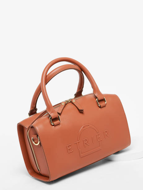 Handbag Fulgurant Leather Etrier Brown fulgurant EFUL036S other view 2